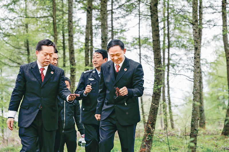 自2019年4月以來，重慶市巫溪縣人民檢察院聯合陜西省鎮坪縣、湖北省竹溪縣、神農架林區檢察機關和林業部門，制定協作機制，通過共享跨區域刑事司法案件信息、建立聯動巡山機制等，助力林業生態保護持續向好發展。圖為2020年4月22日，重慶市巫溪縣人民檢察院聯合陜西省鎮坪縣人民檢察院組成的跨區域聯合行動小組，在雞心嶺地區開展聯合巡山活動。　新華社發 黃偉/攝
